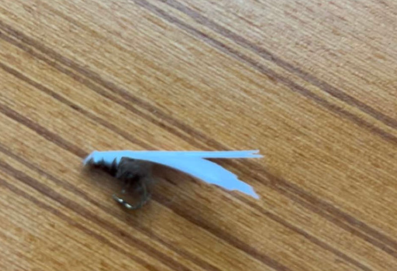 Load image into Gallery viewer, Flies
