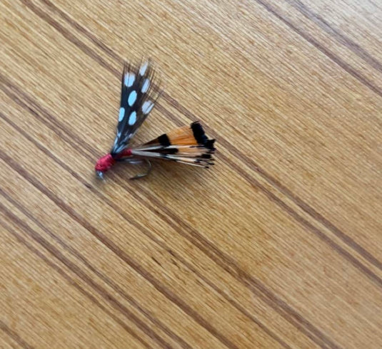 Flies