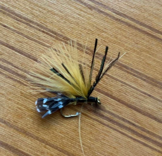 Flies