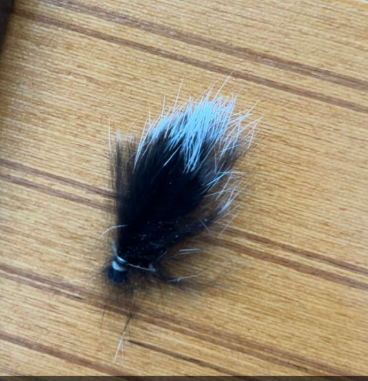 Flies