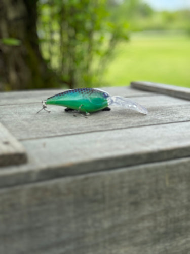 Deep Diving CrankBait